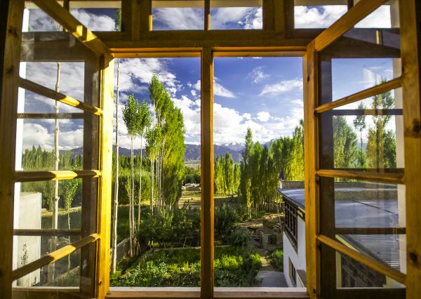 Wood Window Replacement in Santa Fe
